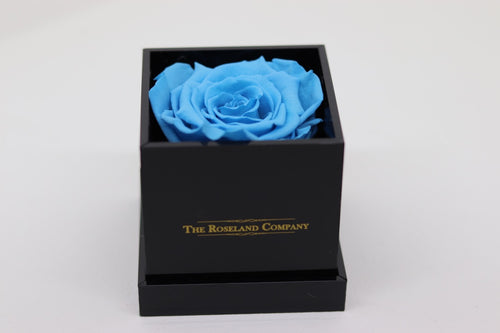 BLACK Small Cube Box with LIGHT BLUE Eternity Rose