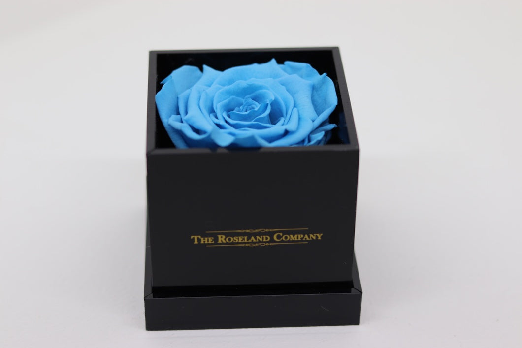 BLACK Small Cube Box with LIGHT BLUE Eternity Rose