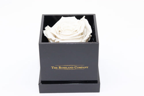 BLACK Small Cube Box with WHITE Eternity Rose