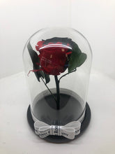 As seen in Beauty and the Beast: Half RED and Half Black Eternity Rose, Under the Dome