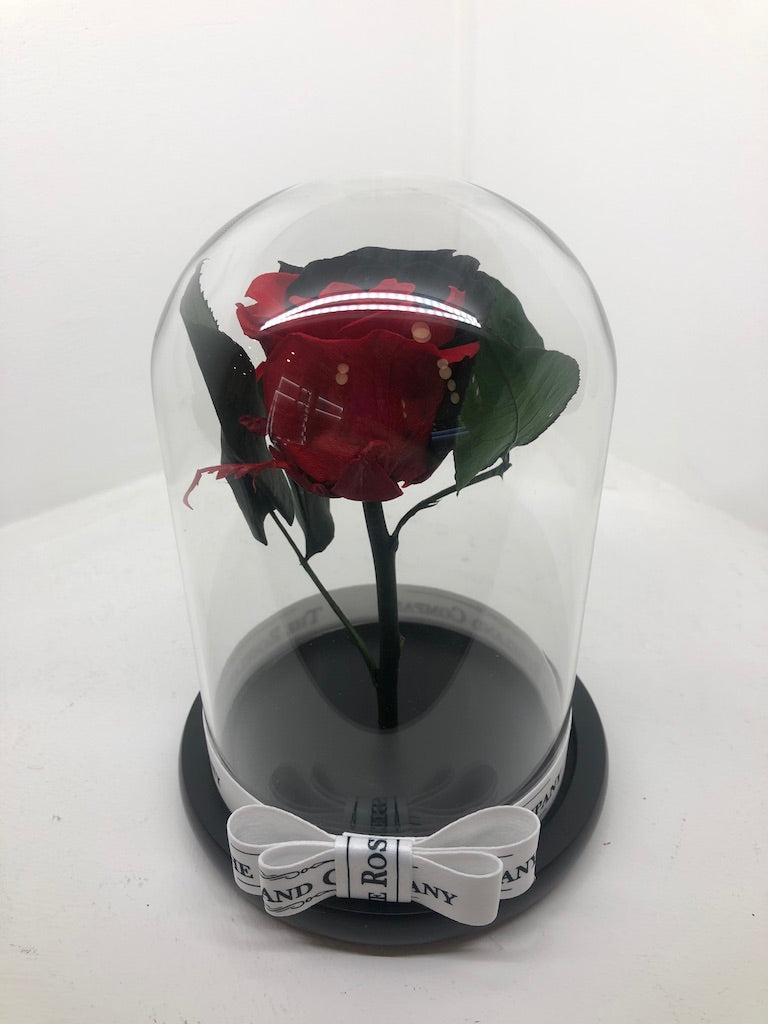 As seen in Beauty and the Beast: Black Glitter Eternity Rose, Under th –  The Roseland Shop