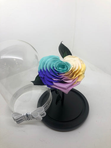 As seen in Beauty and the Beast: Heart Shape RAINBOW Eternity Rose, Under the Dome
