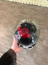 As seen in Beauty and the Beast: Half RED and Half Black Eternity Rose, Under the Dome