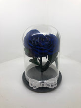 As seen in Beauty and the Beast: Heart Shape BLUE Eternity Rose, Under the Dome