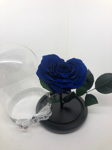 As seen in Beauty and the Beast: Heart Shape BLUE Eternity Rose, Under the Dome