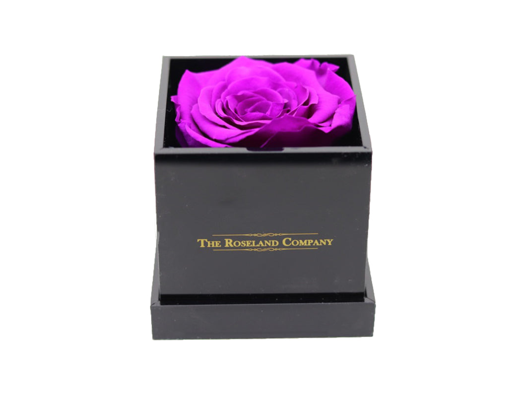 BLACK Small Cube Box with PURPLE Eternity Rose
