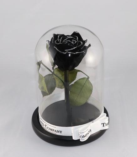 As seen in Beauty and the Beast: Black Glitter Eternity Rose, Under the Dome